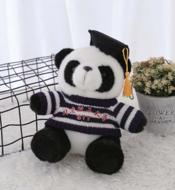 北京理工大學(xué)（博士熊貓系列）